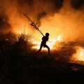 Child against wildfires