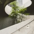 How it all started EU ESG & CSRD